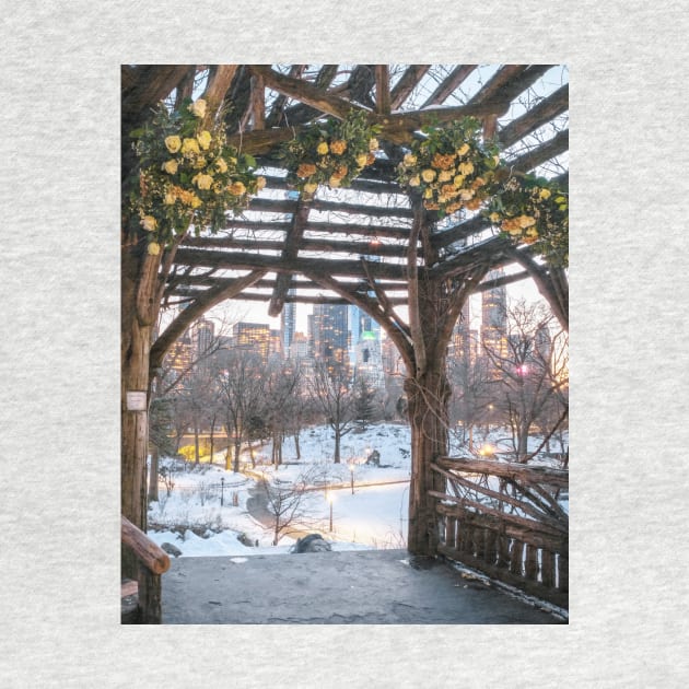 Central Park Winter by igjustin